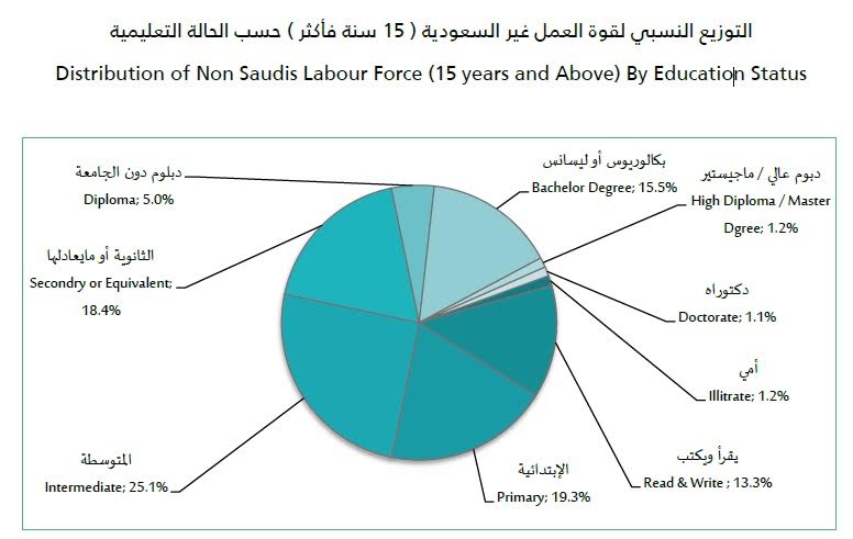 "هيئة الاحصاء": 54% من العاطلين يحملون "البكالوريوس" .. وثلث السعوديين يعملون في الخدمات