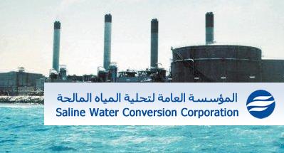 "التحلية" تبحث تقنيات جديدة روسية تخدم صناعة التحلية