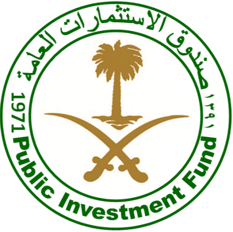 صندوق الاستثمارات العامة يخطط لتأسيس وتطوير 31 شركة