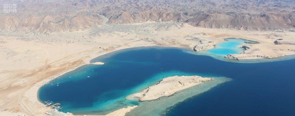 8 أسئلة تسلط الضوء على مشروع «أمالا» العملاق ومستقبله والاستثمار فيه .. تعرف عليها