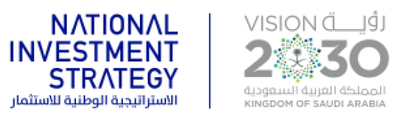 بالتفاصيل والارقام .. تعرف على الاستراتيجية الوطنية للاستثمار
