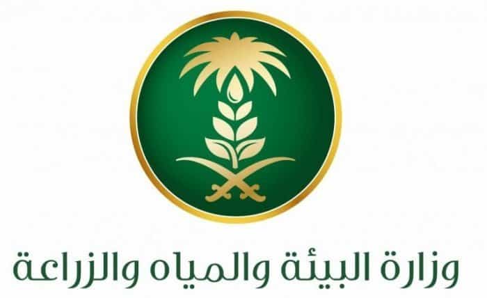 "وزارة البيئة" و" مركز الغطاء النباتي": توافر عدد من الفرص الاستثمارية لإقامة واجهات سياحية