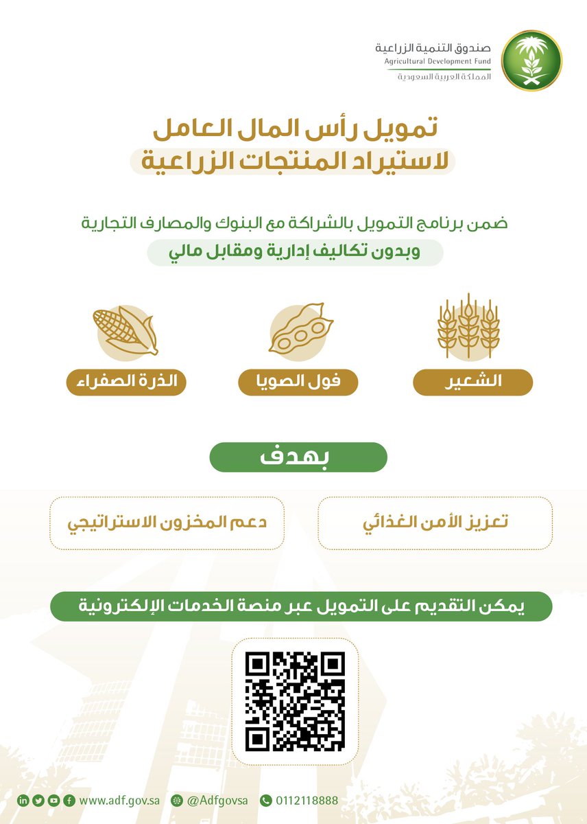 "الصندوق الزراعي" يعلن تمويل رأس المال العامل لاستيراد 3 منتجات زراعية .. تعزيزا للأمن الغذائي