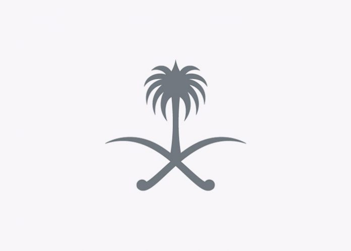صدور ضوابط شراء واستئجار الجهات الحكومية للمركبات