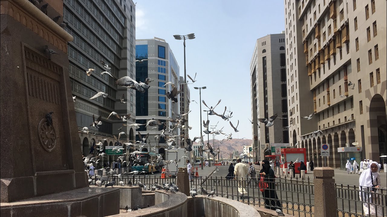 المدينة تسجل أعلى صفقة عقارية منذ بداية 2024 بقيمة مليار ريال