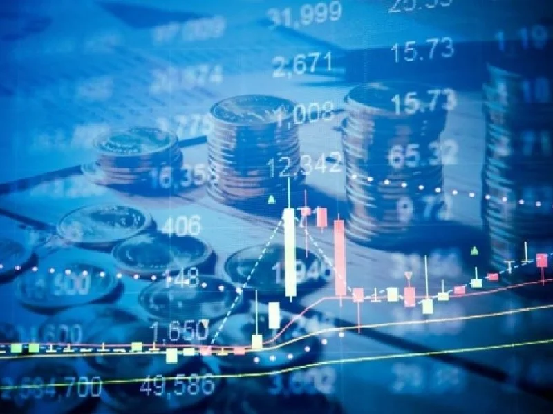قطاع إنتاج الأغذية يستحوذ على 21% من إدراجات السوق المالية السعودية 2024