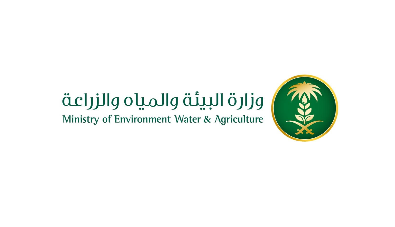 "وزارة البيئة" تدعو للاستثمار بالمرافئ المطورة والأنشطة البحرية في 4 مناطق  بينها المدينة