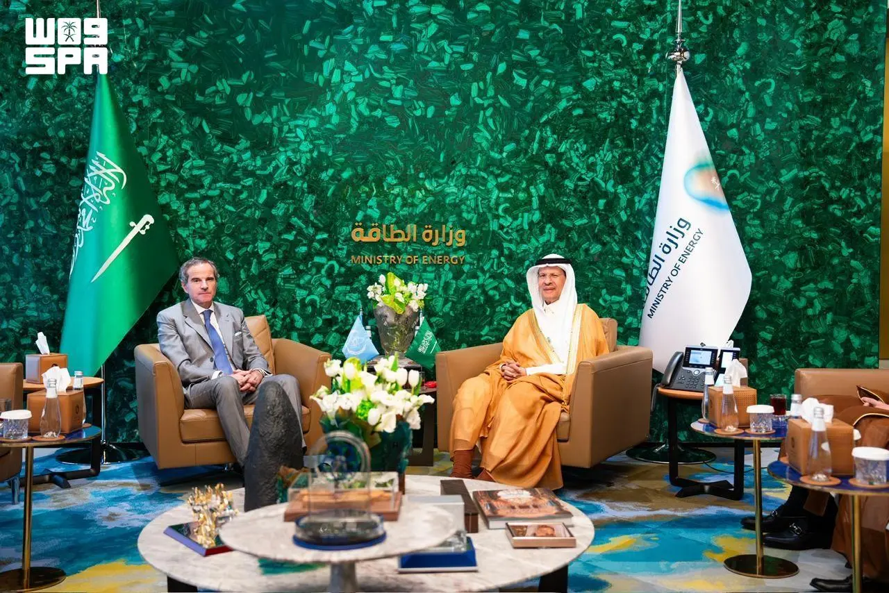 Minister of Energy Discusses National Nuclear Energy Program Updates with IAEA Director General