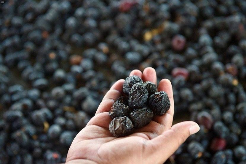 المدينة المنورة ثالثا على مستوى المناطق في انتاج التمور